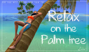 Maybe you would like to learn more about one of these? Lin Sims Islands Sun Heat Ocean And Palm Trees