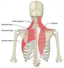 Pin On Joint Pain Relief