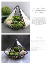Geometric Glass Diamond Terrarium With Plants From Apollo Box Terrarium Glass Terrarium Plant Crafts