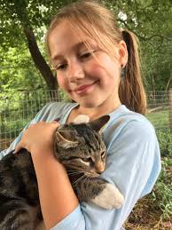 Missing cat Apollo in Georgetown area