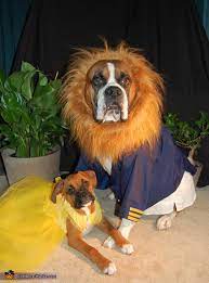 Beauty And The Beast Dogs Costume