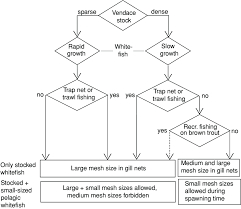 flow chart summarizing the recommended management of gill