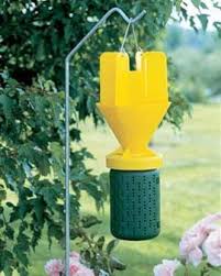 Are japanese beetle traps effective? Slug And Snail Traps Set Of 3 Gardener S Supply Japanese Beetles Trap Japanese Beetles Japanese Beetle Control