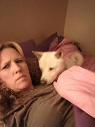 Lost Shiba dog in Shreveport Bossier area