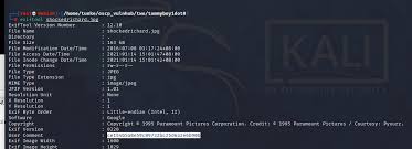 Image result for tbn:oxKqT-54YfaH0M::www.voir.ca/blogs/steve_proulx/chut.jpg