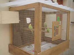 Mini Bird Cage For Parakeets With Recicled Wood Youtube Diy Bird Cage Parakeet Cage Pet Bird Cage