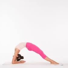 It is a variation of the foundational hatha yoga pose dandasana. Umgekehrte Stabhaltung Dwi Pada Viparita Dandasana