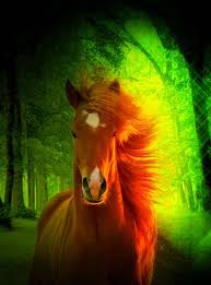 We hope you enjoyed the collection of wallpapers for windows 10. Download 3d Nature And Horse Wallpaper By Spring17 3f Free On Zedge Now Browse Millions Of Popular 3d Wallpapers In 2021 Horse Wallpaper Horses Horse Background