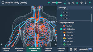 The free science images and photos are perfect learning tools, great for adding to science projects and provide lots of interesting information you may just click on the thumbnails to see the full versions of the pics. Human Body Male Educational Vr 3d Apps On Google Play