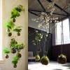 Bonsai are different, but not difficult. 3