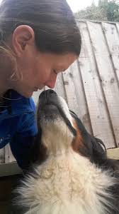 Kat for Dogs Horwich