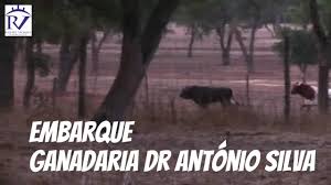 images?q=tbn:ANd9GcTjfb3ieGxMl6AzQM2NxZ8