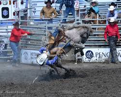 Rodeo Photos