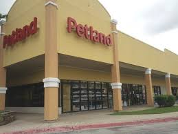 Check spelling or type a new query. Petland Plano Care Com Plano Tx