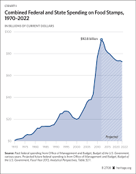 reforming the food stamp program the heritage foundation