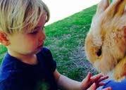 WED Playgroup - Tots On The Farm