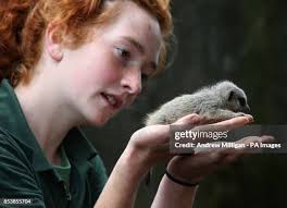 59 Connie Milligan Fotos und hochauflösende Bilder