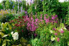 Check spelling or type a new query. Creating A Quaint Cottage Garden
