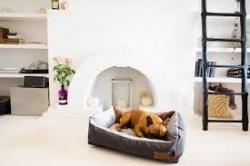 Proud manufacturer of the best quality dog. Home