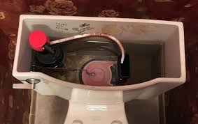 Cleaning Mold In Toilet Bowl Tank Rim Seat And Lid Cleaning Mold Toilet Bowl Mold In Bathroom