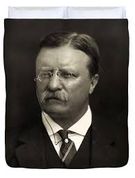 Presidents Duvet Covers for Sale by Bridgeman Images