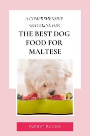 The Best Dog Food For Maltese To Buy In February 2020 Best Dog Food Maltese High Quality Dog Food