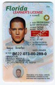 A florida real id card is an identification card that complies with all federal real id standards. Florida Fake Id
