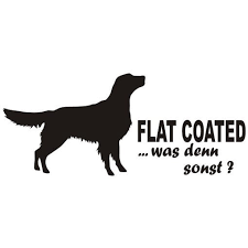 Rich black, free from rustiness and from white. Flat Coated Retriever 7 Aufkleber In Eigener Farbe Grosse By Anfalas