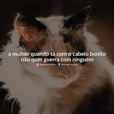 Pensador Sincero A Mulher Fica Ate De Bom Humor Creditos Jessicambrosio No Twitter Facebook