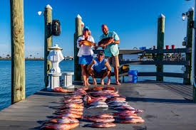 Maybe you would like to learn more about one of these? Enjoying Grouper In Clearwater Florida City Of Clearwater