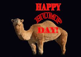 Relevant newest # geico # geico commercial # brandosgifs # best commercial # geico camel. Pin On Gifs