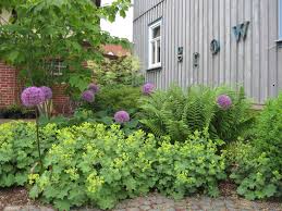 Sie ist anspruchslos und pflegeleicht. Pflanzen Im Garten