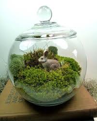 Terrarium Small Covered Vase Bunny Moss Great For Home Or Office Terrariums Moss Terrariums Terrarium Decor Moss Terrarium Terrarium