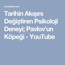 Tarihin Akisini Degistiren Psikoloji Deneyi Pavlov Un Kopegi Youtube Goruntuler Ile Psikoloji Youtube Pavlova