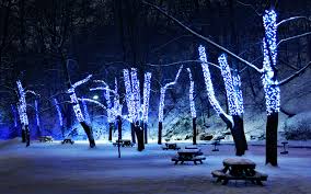 Download cool desktop wallpapers winter desktop wallpaper and 3d desktop backgrounds, screensavers, live background wallpapers for free listed above from the directory nature. Beautiful Winter Night Wallpaper Pixelstalk Net