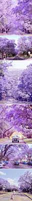of season tour of south africa south africa south africa travel africa