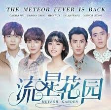 Drama China Meteor Garden 2018 Subtitle Indonesia Drama Teori Aktor