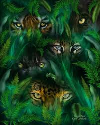 Jungle Eyes Big Cats Art Big Cats Jungle Art