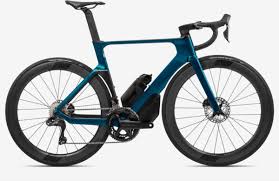 Image result for Orbea maculata