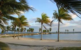 We did not find results for: Download Miami Beach Wallpaper Iphone Wallpaper Getwalls Io