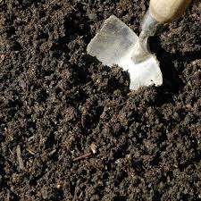 This type of manure is not as rich in nitrogen as many other types; Is Cow Manure Good For Tomatoes A Detailed Answer Is Revealed
