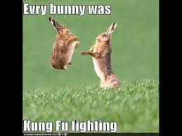 If you don't find the meme you want, browse all the gif templates or upload and save your own animated template using the gif maker. Every Bunny Was Kung Fu Fighting Wmv Youtube
