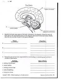 Brain Diagram With Functions Koibana Info Science Worksheets Human Body Worksheets Biology Worksheet