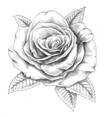 Papirouge Tattoo Zeichnungen Realistische Rose Tattoo Rose Tattoo Ideen Engel Tattoo Vorlagen