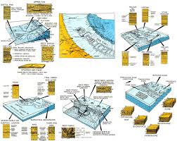 Settings Shape Of Carbonate Facies Geology Shapes Sedimentary