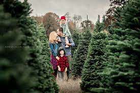 Photography Blog Christmas Tree Farm Photos Christmas Tree Farm Photo Shoot Family Holiday Photos