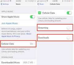 How To Reduce Data Usage On Iphone Cellular Ipads 2021