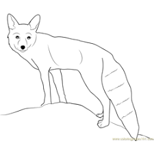 We would like to show you a description here but the site won't allow us. Fennec Fox Baby Coloring Page For Kids Free Fox Printable Coloring Pages Online For Kids Coloringpages101 Com Coloring Pages For Kids