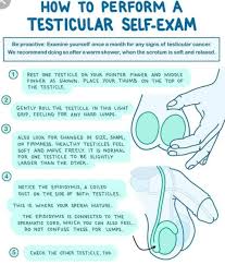 Lump or swelling in the testicle. Hopeforcancer A Twitter Some Of The Signs Of Testicular Cancer Painless Lump Or Swelling On Either Testicle Pain Discomfort Or Numbness With Or Without Swelling In A Testicle Or The Scrotum
