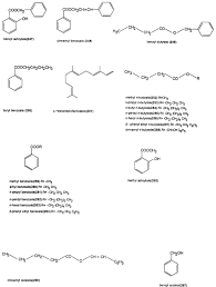 Image result for Diospyros inhacaensis
